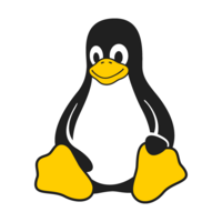 etc_hosts logo